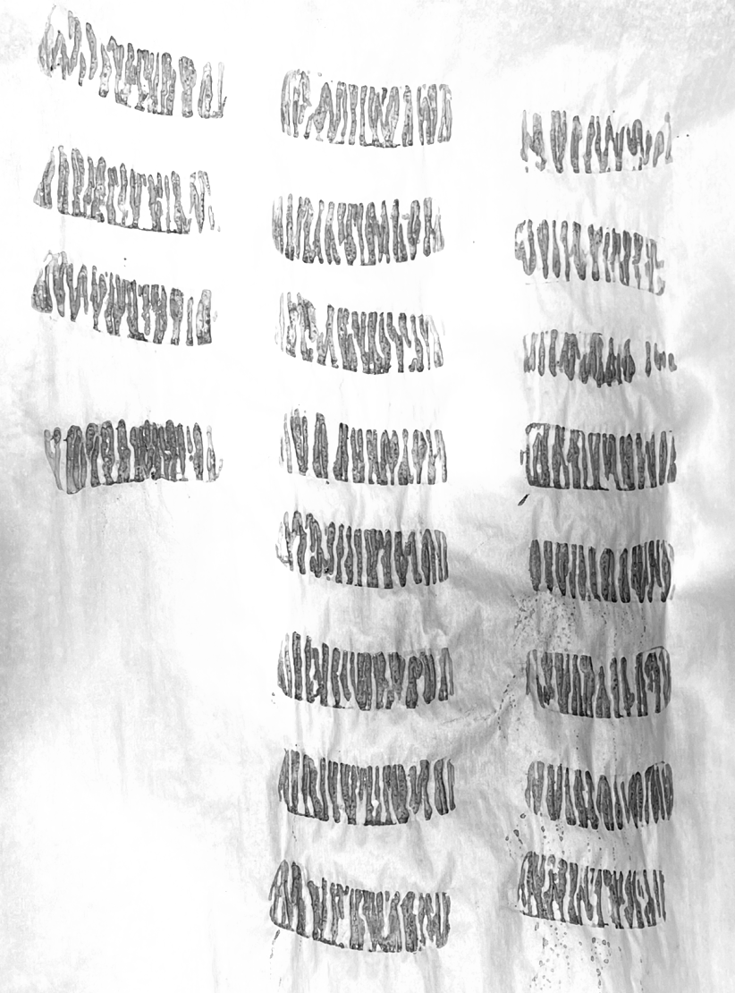 Rectangular black marks I don’t Whitefield