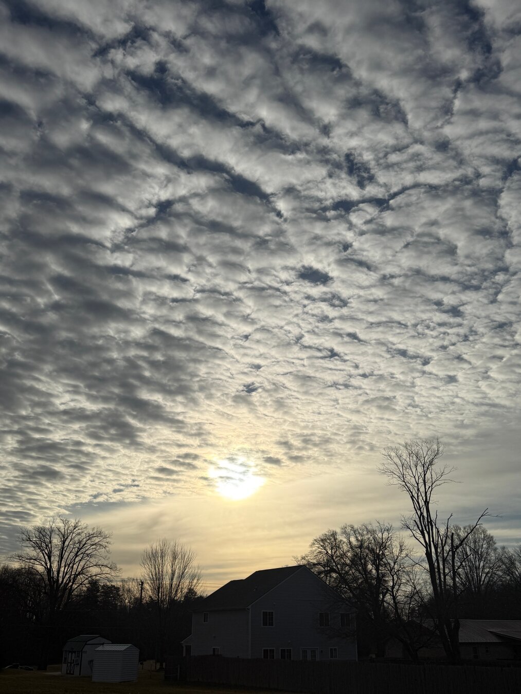 A low angle view of a mostly cloudy sky.  The clouds are mostly small and puffy, covering most of the sky with a few breaks revealing a bright sun near the horizon.  Silhouetted against the sky are several leafless trees and a two-story light-colored house. A small metal shed is visible to the left of the house. A wooden fence runs across the bottom of the image.