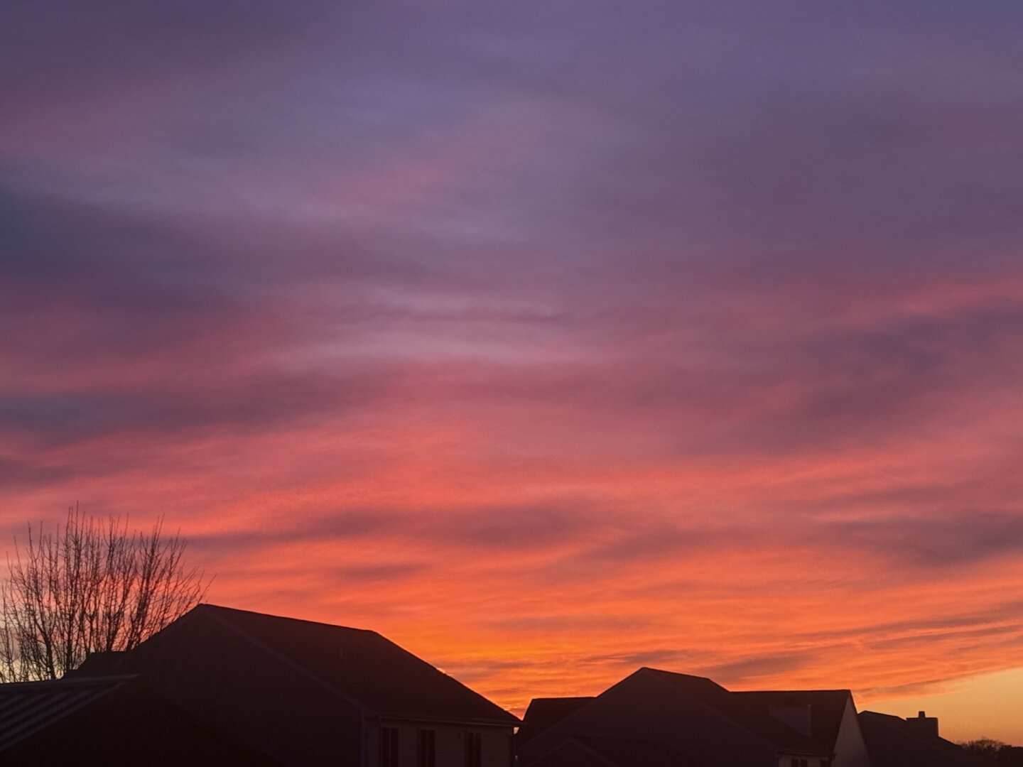 A vibrant sunset fills the sky with shades of orange, pink, and purple.  Silhouetted against the colorful sky are the roofs of several houses, and a bare, winter tree is visible on the left.