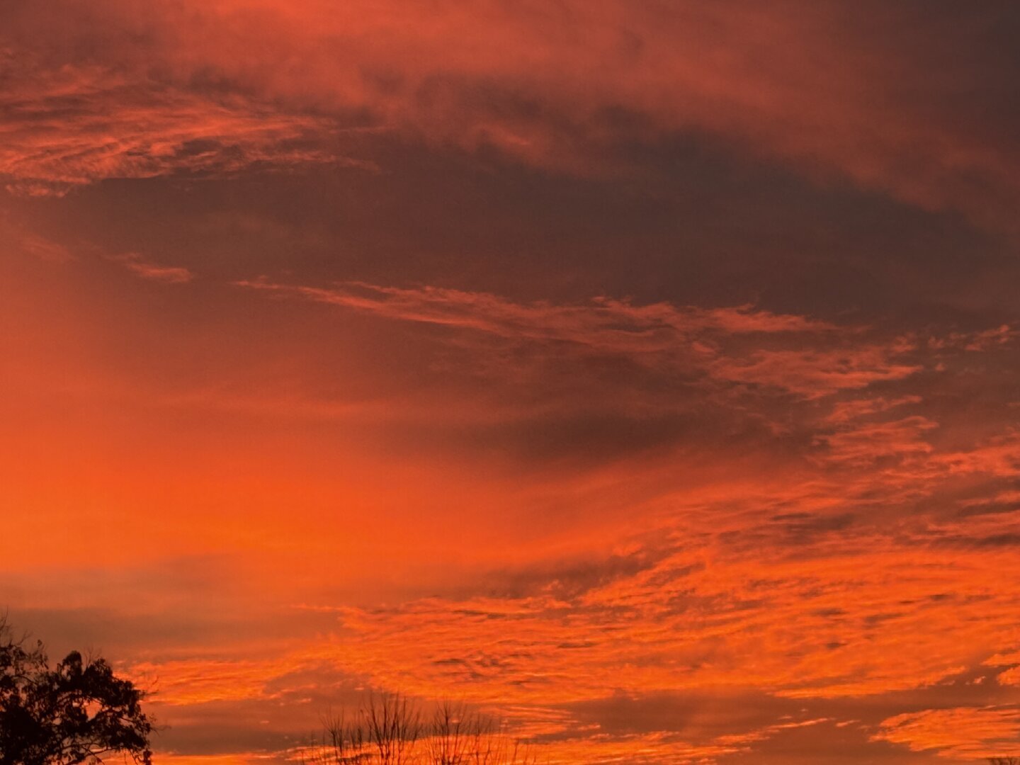 A brilliant orange sky fills the image. The sky is mostly a bright orange color, with some black and gray clouds scattered throughout. The clouds are a mix of shades, ranging from dark gray to orange, and are scattered across the sky. In the bottom corners, there are silhouettes of trees.