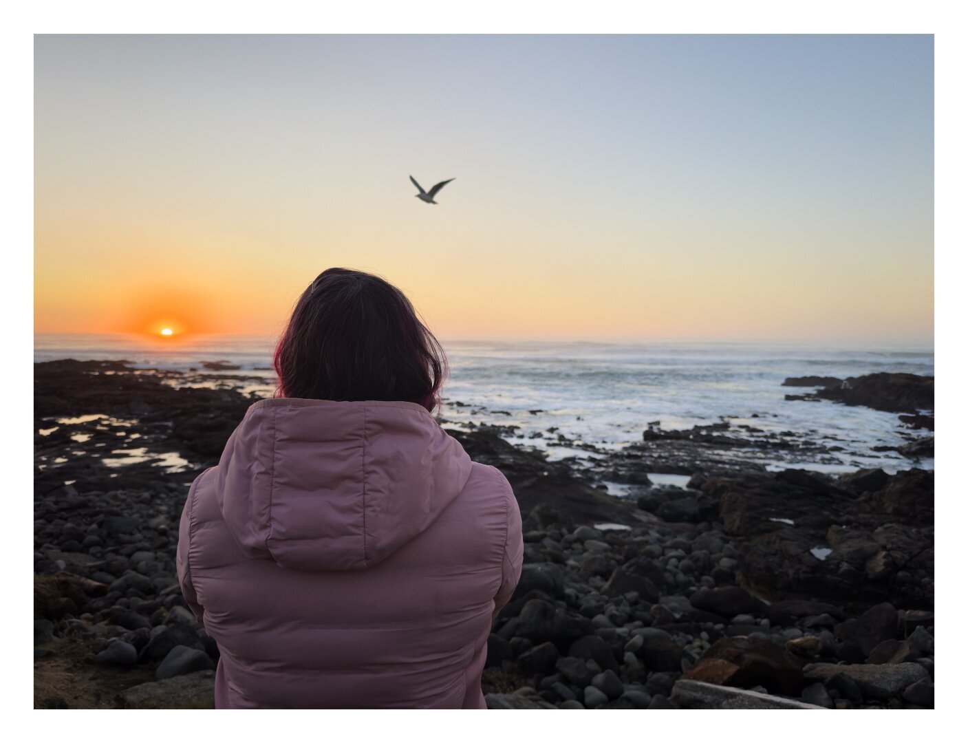 woman in a pink puffer jacket from behind looking at a sunset over the ocean with a seagull flying over head