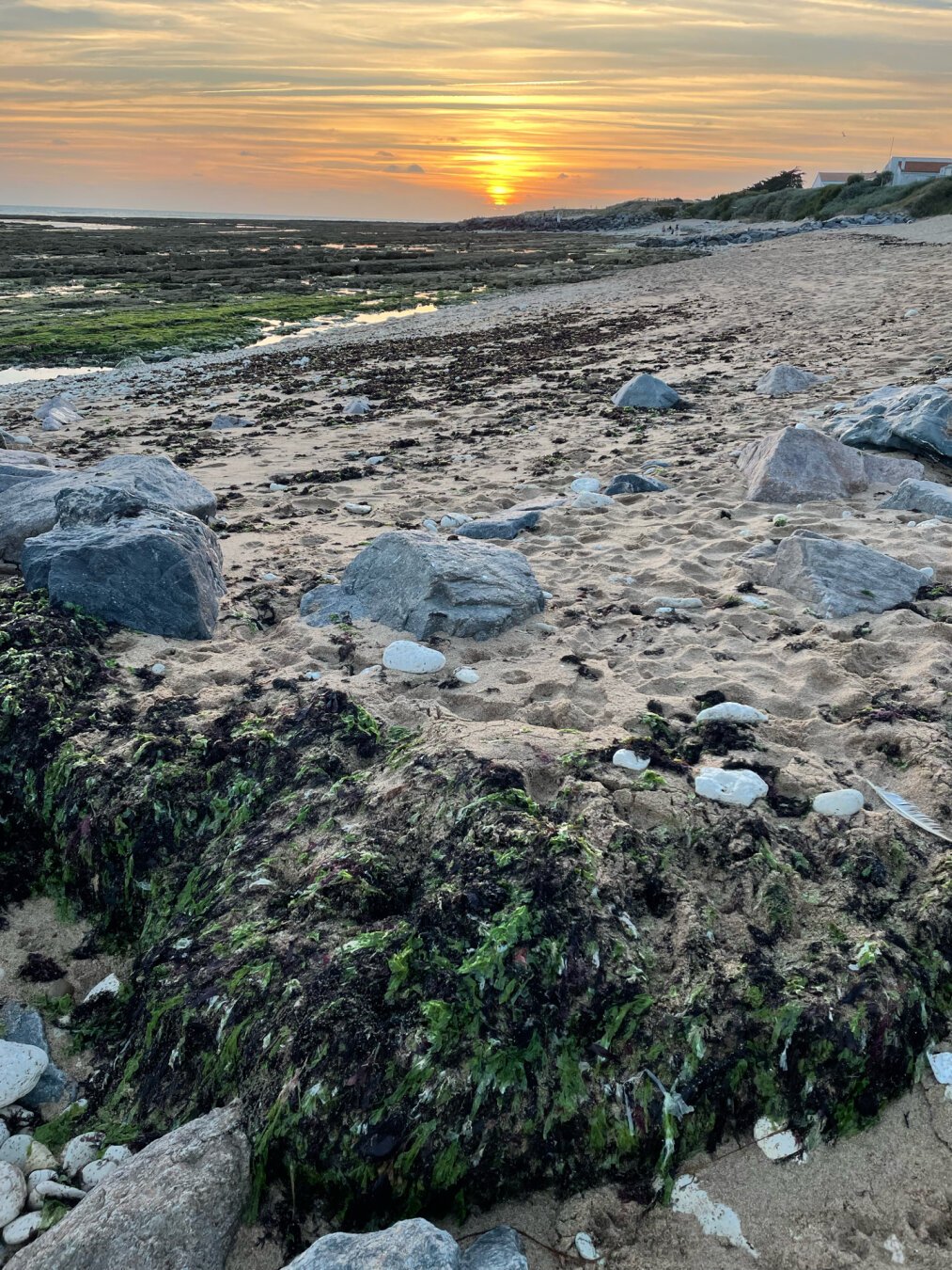 In the front we can see the sand, stones and algae. The sea is in reflux. At far the sunset colors the sky with orange, yellow and red tones