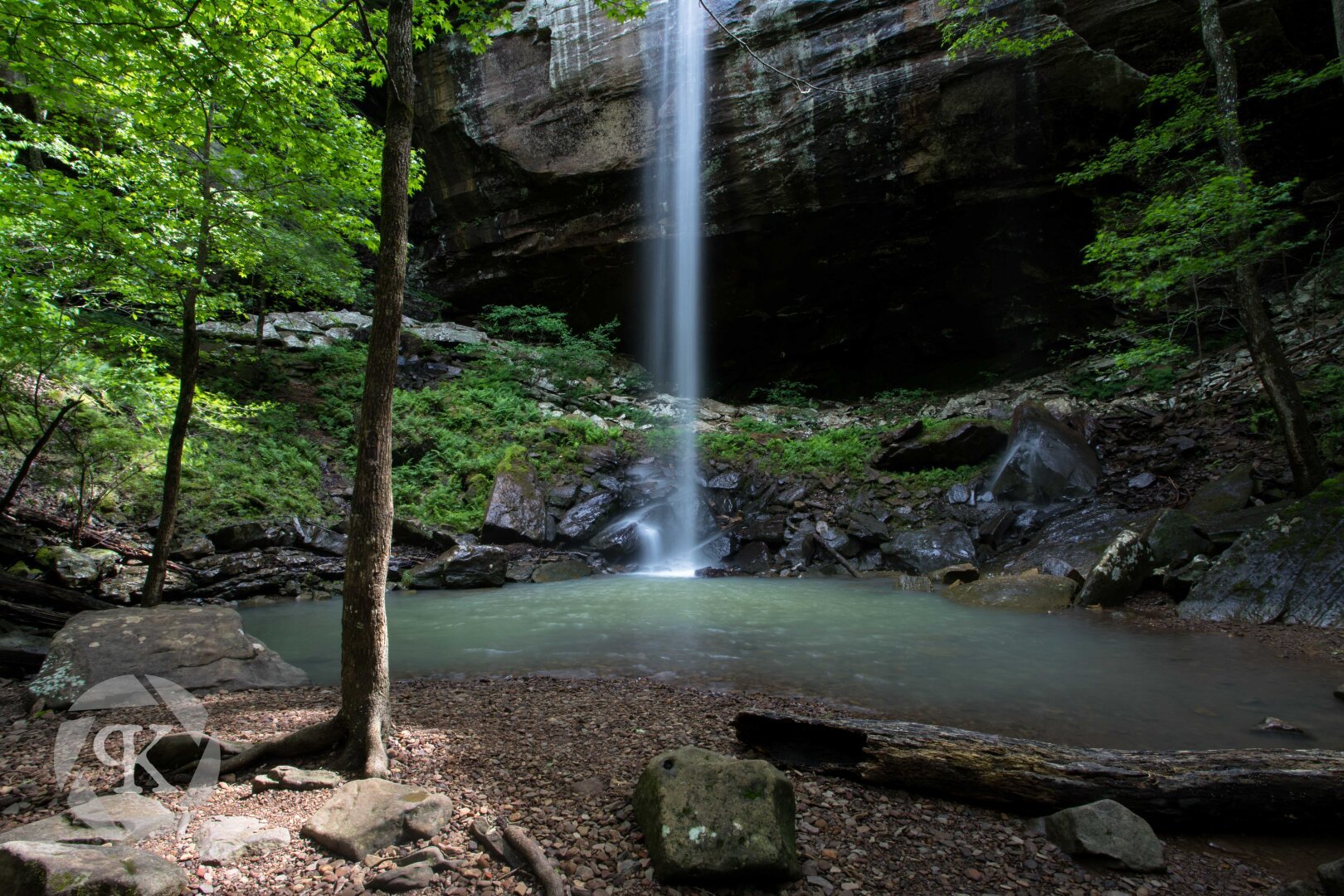 A narrow waterfall is seen in center frame cascading over the edge of a grey, rocky bluff. The water empties into a small, blue pool of water that is partially surrounded by green trees. A downed log crops the bottom of the frame near the rocky shoreline.