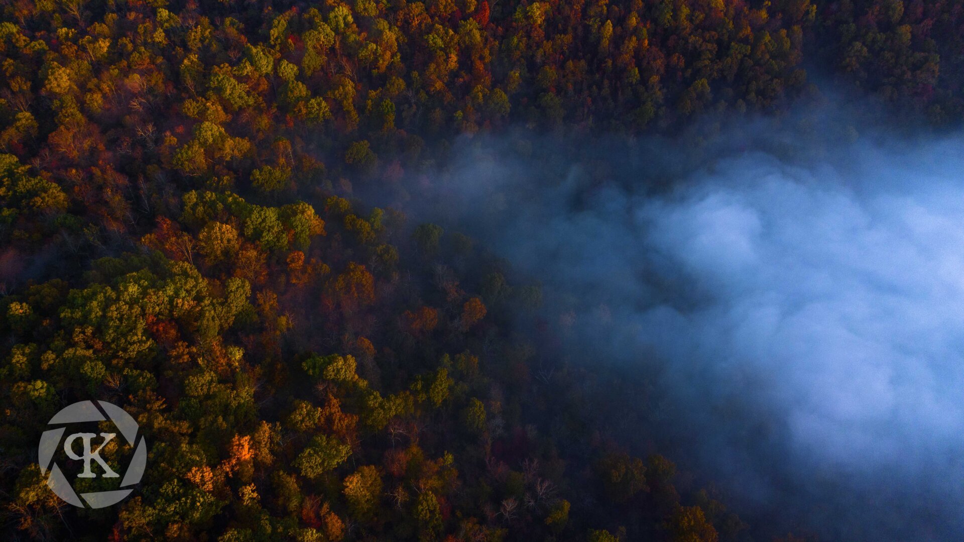 A view looking down on a dense forest of trees sporting fall colors ranging from red to orange to scattered green. A blanket of white fog is creeping in on the right-hand side of the image.