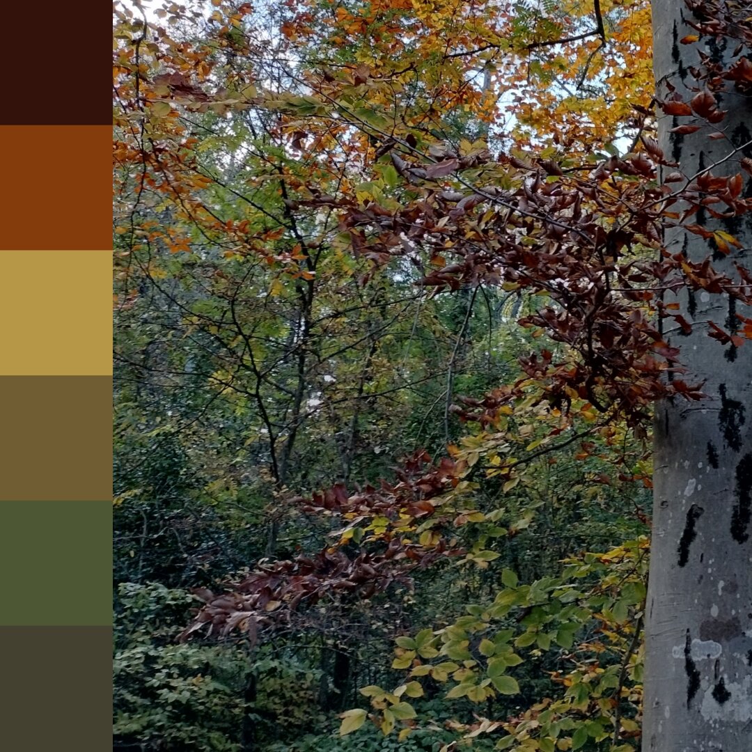 A strip of 6 colors along the side of an image of a tree transitioning into fall with leaves of green, red and gold. The six sampled colors include these colors.