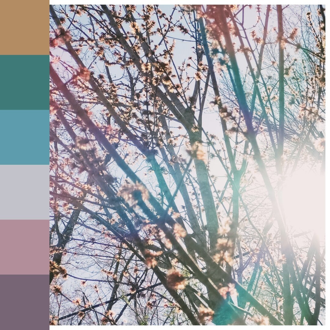 A view of spring blossoming trees with sun shining through. There's a set of color swatches on the side corresponding to colors within the image.