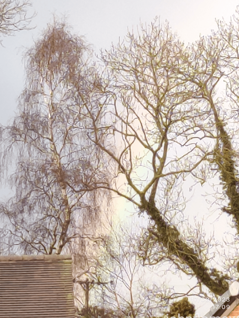 A rainbow faintly seen through the branches of trees, in the centre of the image, with grey skies on either side.