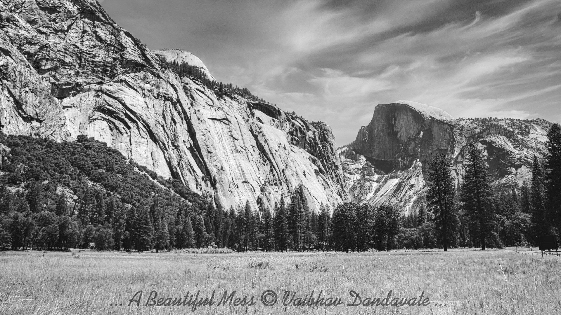 A black-and-white photograph of Yosemite National Park featuring massive granite cliffs and the iconic Half Dome in the background. The foreground shows an open meadow lined with towering pine trees under a slightly cloudy sky.