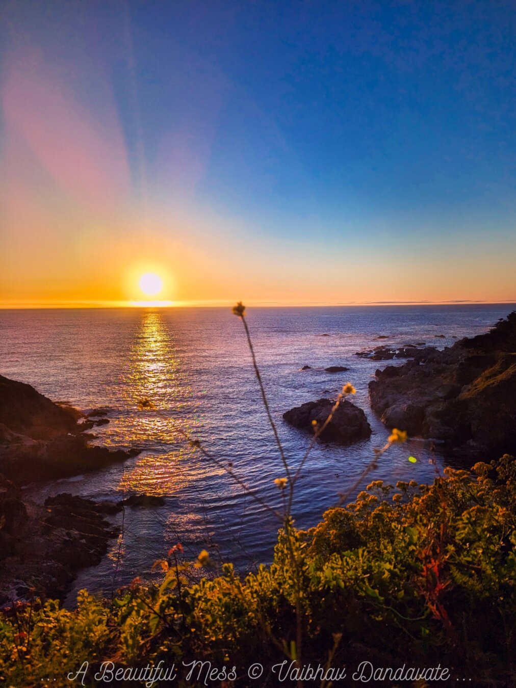 A breathtaking sunset at Point Lobos, California, with the sun setting over the ocean, casting golden reflections on the water, and surrounded by rugged coastline and wildflowers in the foreground. Photographed by Vaibhav Dandavate.