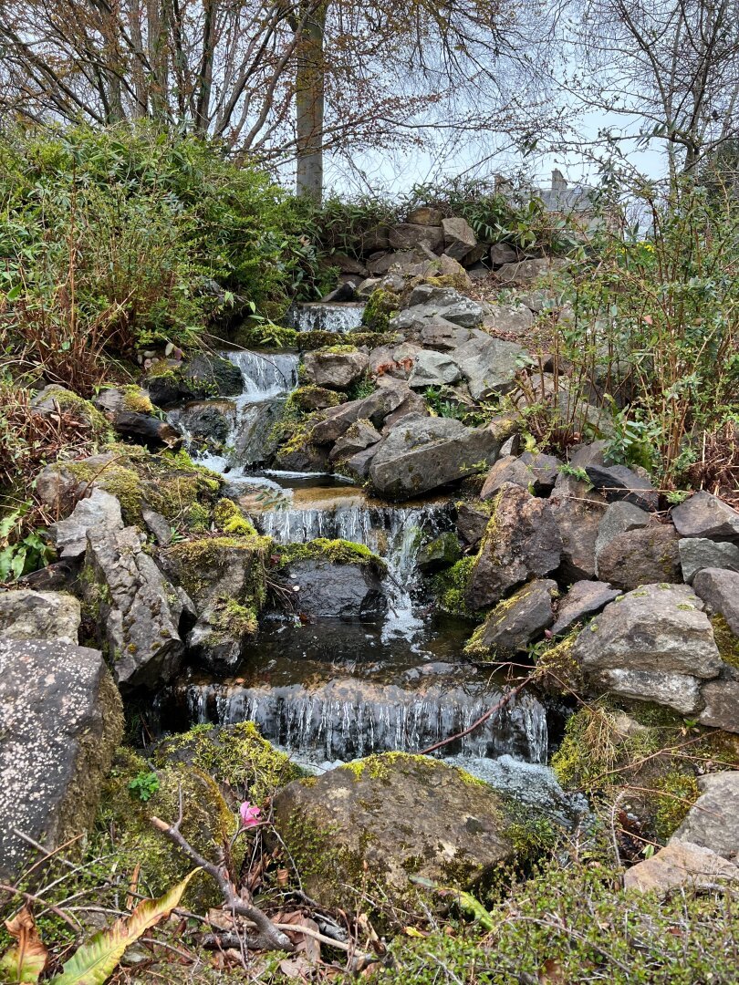 A wee stream cascading down some stones.