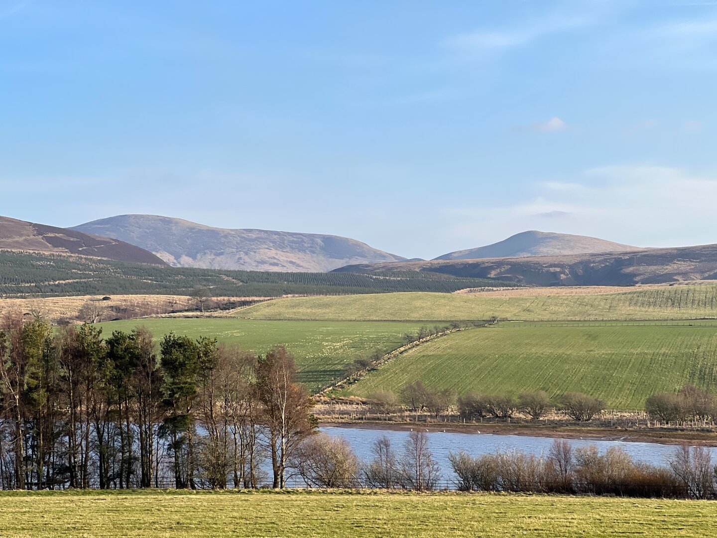 View up to the Pentland hills with a few trees and a loch in the foreground.