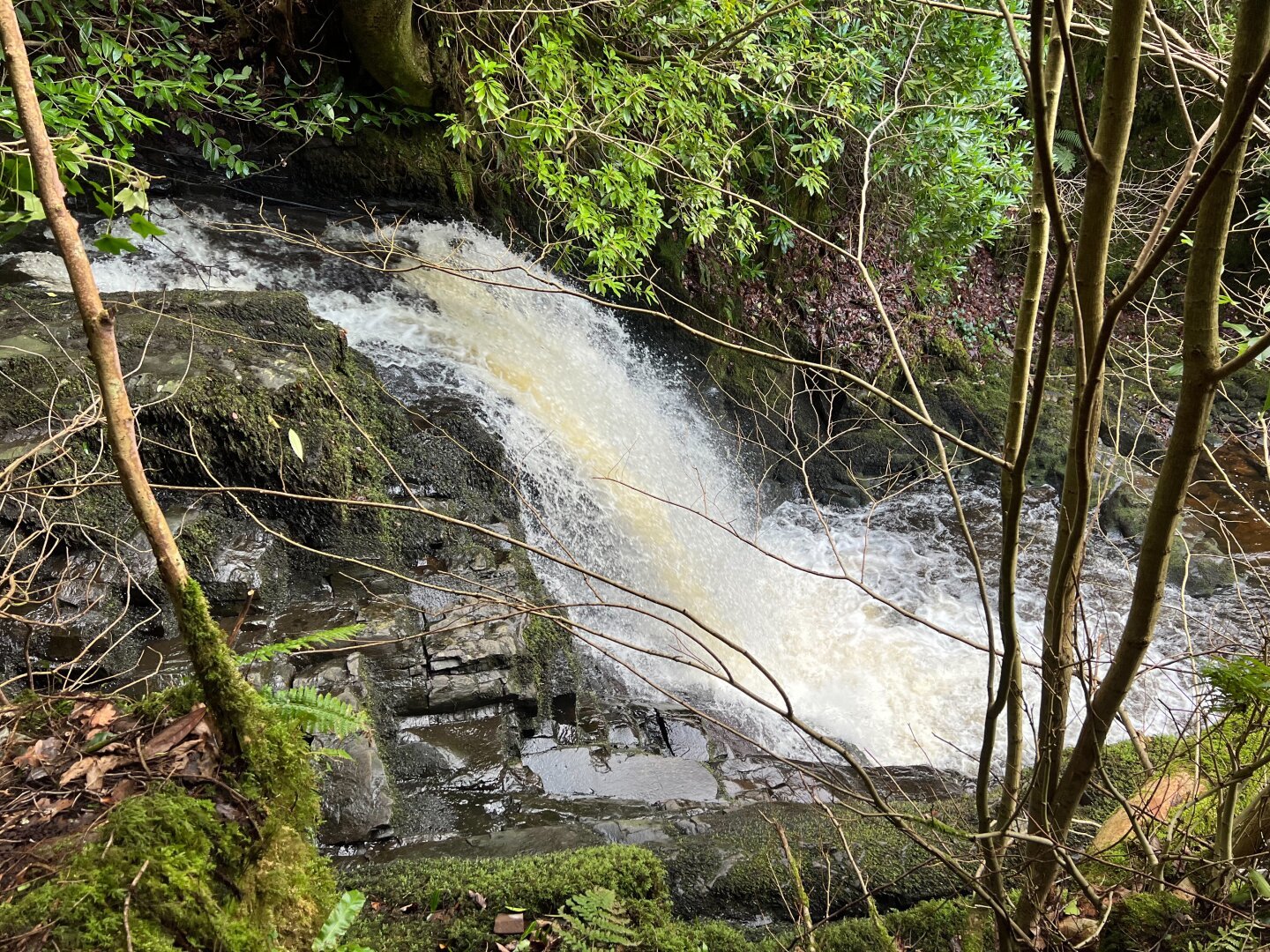 A natural waterfall surrounded by some bushes and trees.