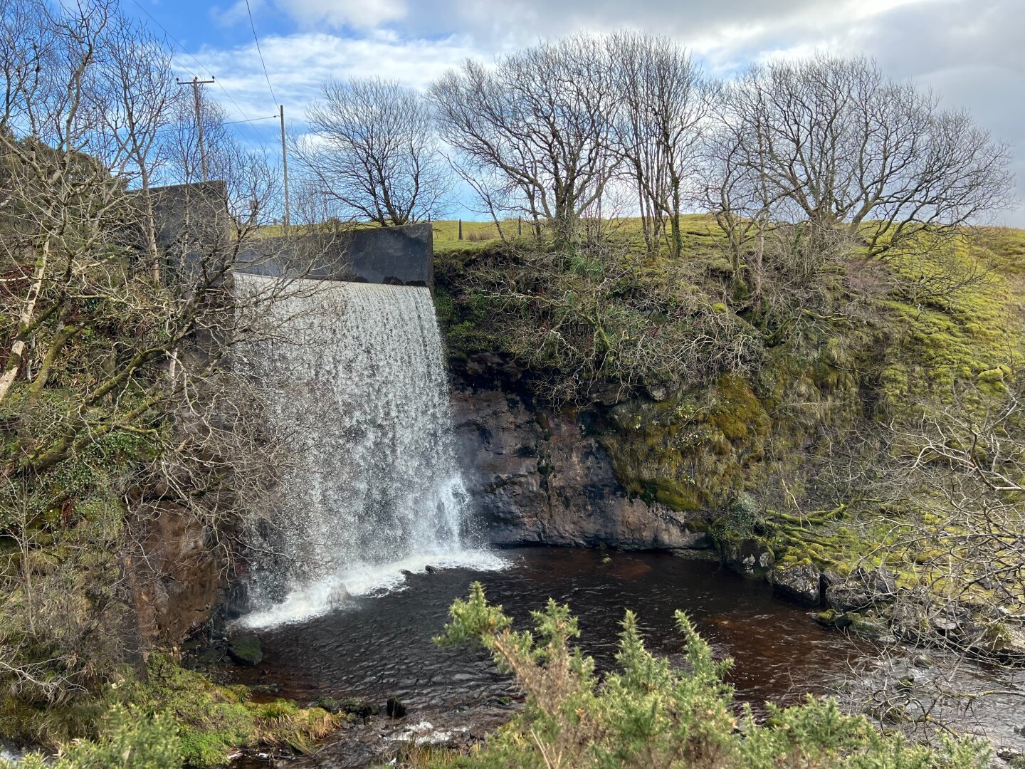 A waterfall from a concrete-walled construction. Surrounded b trees and grass. It falls into dark water.