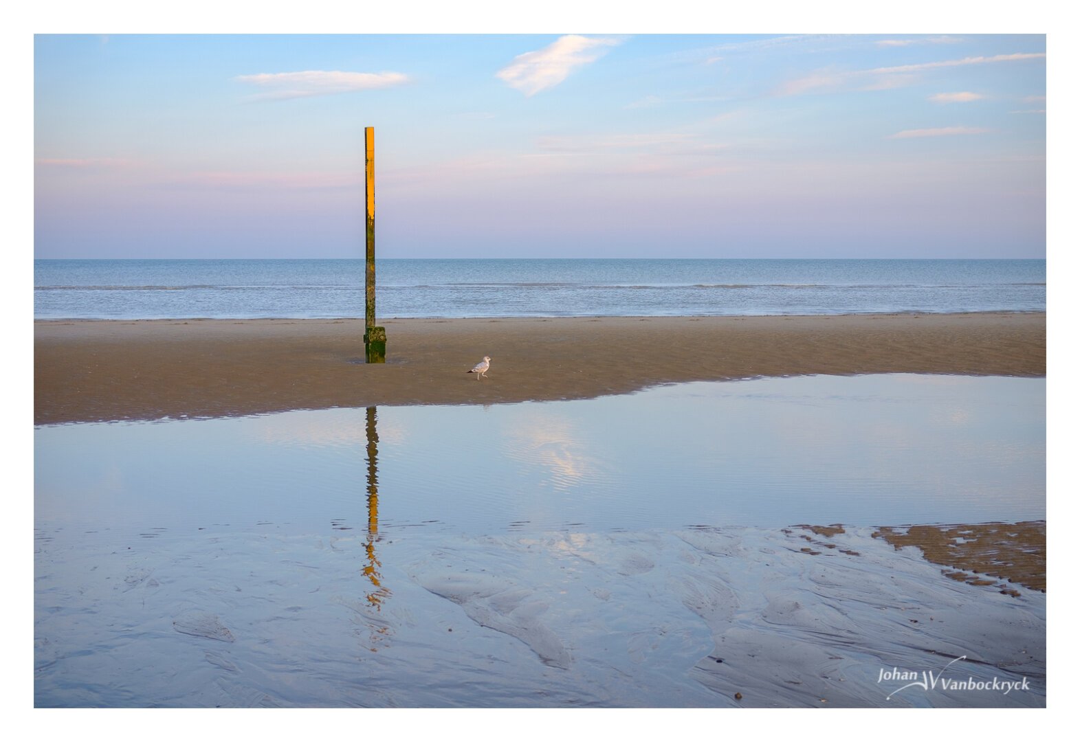 a tide pole and a single seagull on a beach in the morning, with a slight purple tint in the sky from the sunrise. The sea is visible in the background, and there is a large pool of seawater in the foreground that shows a reflection of the tide pole.