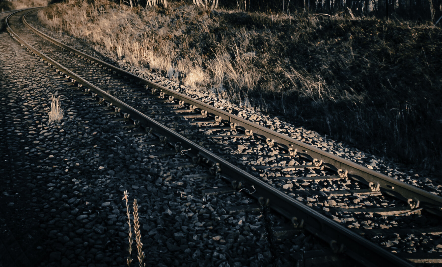 Railway tracks curving left through gravel and dry grass, with warm highlights and cool shadows.
