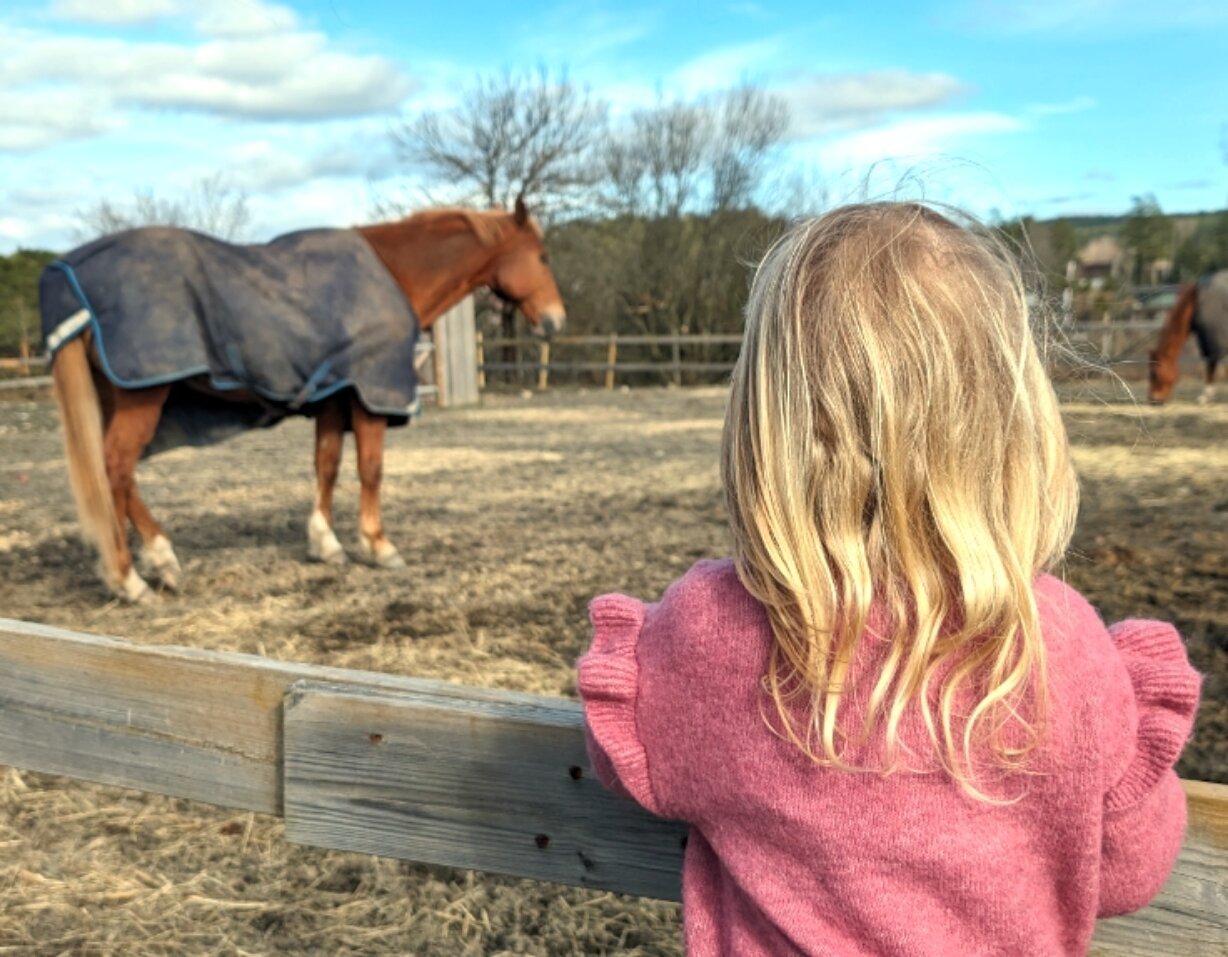 When you are four years old and all you wanna do is to ride that big brown horse...

#DreamBig