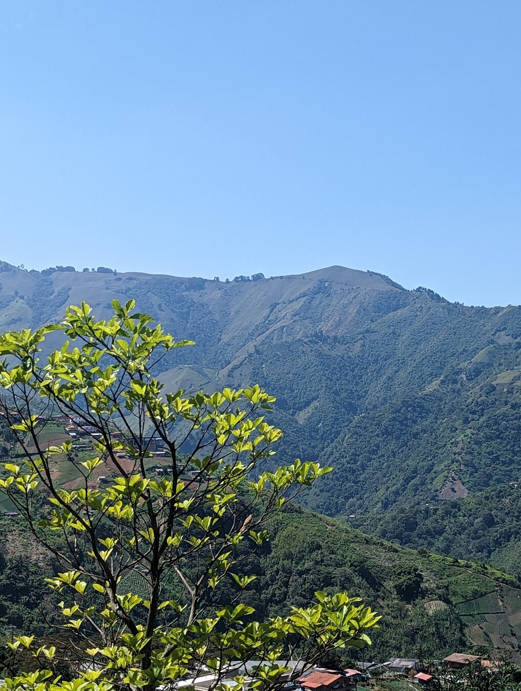 View of the coffee-growing hills
