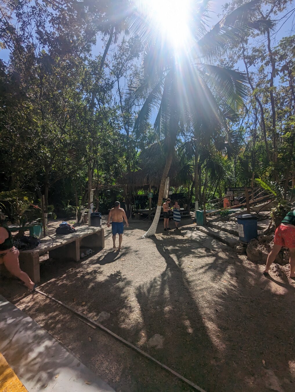 The oasis-like area just outside the cenote entrance