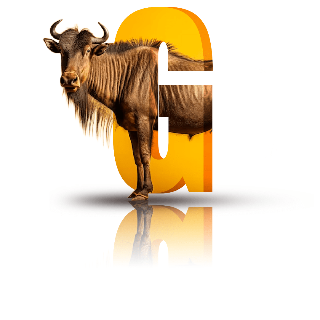 Photo manipulation of photos and letters