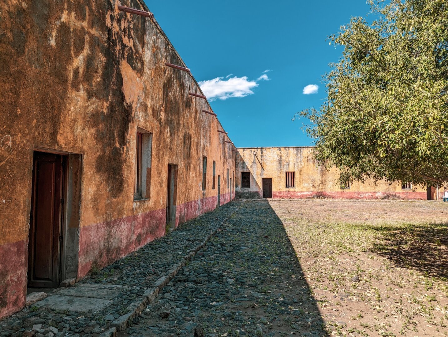 Inside walls of an old Mexican fort, painted yellow and red (now faded), with half a tree coming into frame on the right.