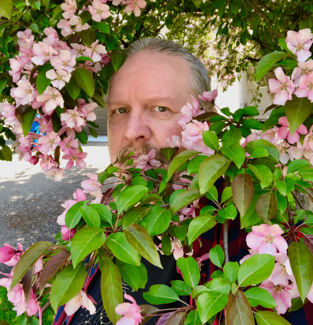 A grumpy, grey-haired man glares sternly betwixt the kelly green leaves and pale pink blossoms of a crap apple tree.

You can almost hear Arte Johnson from Laugh In saying, "Very interesting." with a German accent.