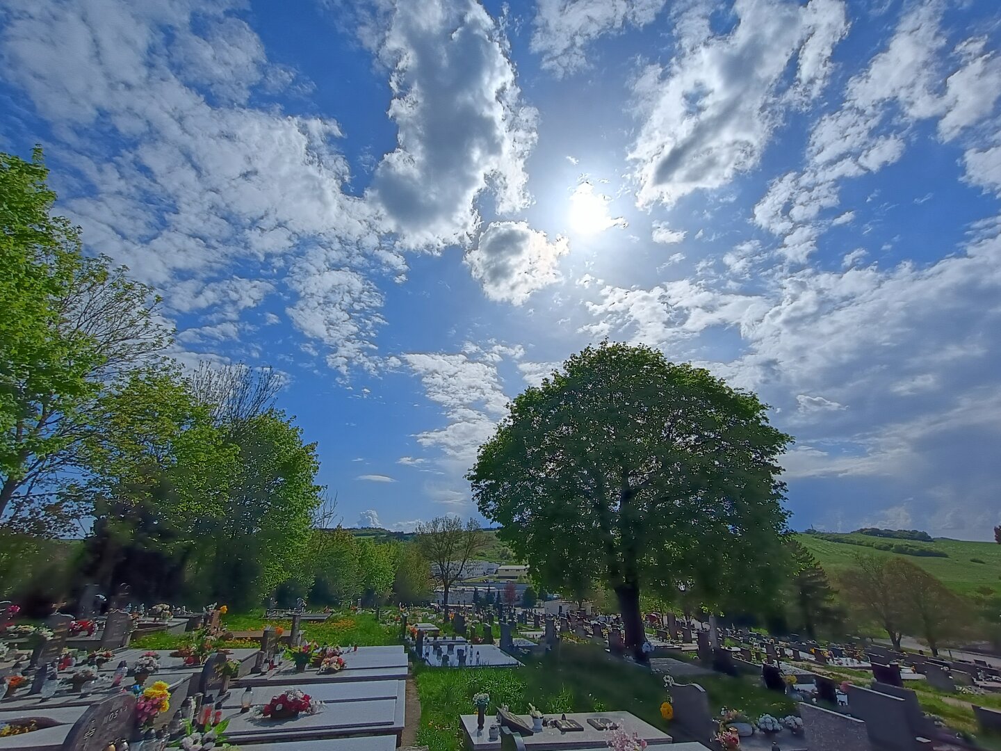 Fotka neba nad cintorínom, slnko presvitá cez mraky pod ním veľký strom.