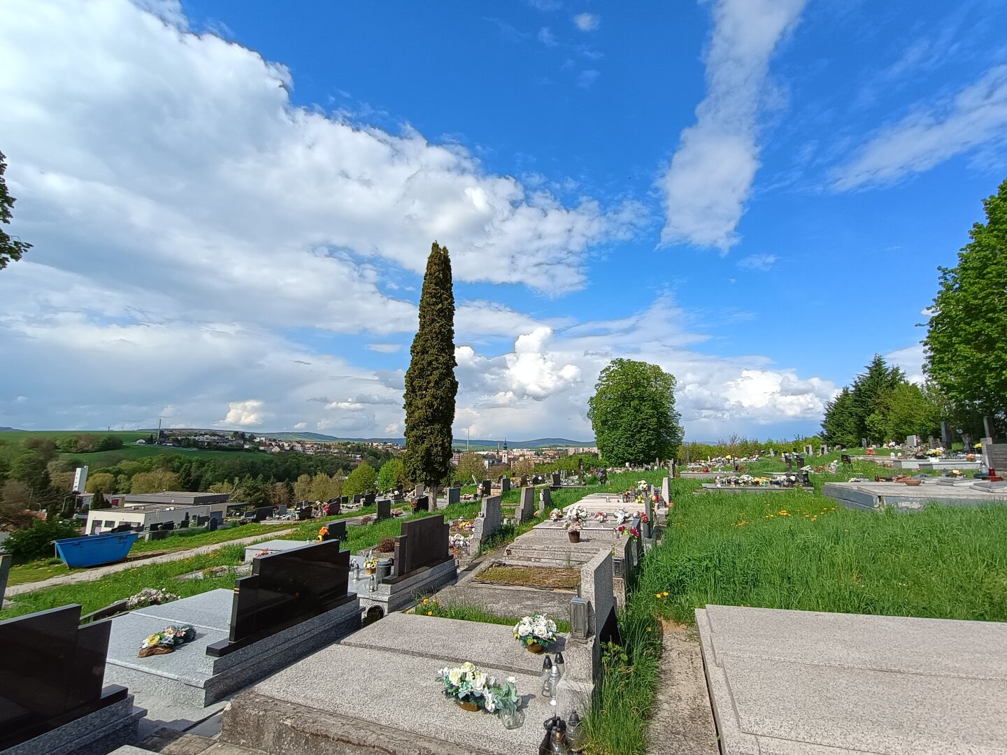 Cintorín a nad ním biele mraky roztiahnuté po celom nebi, v pozadí dva stromy, jeden úzky vysoký a druhý košatý