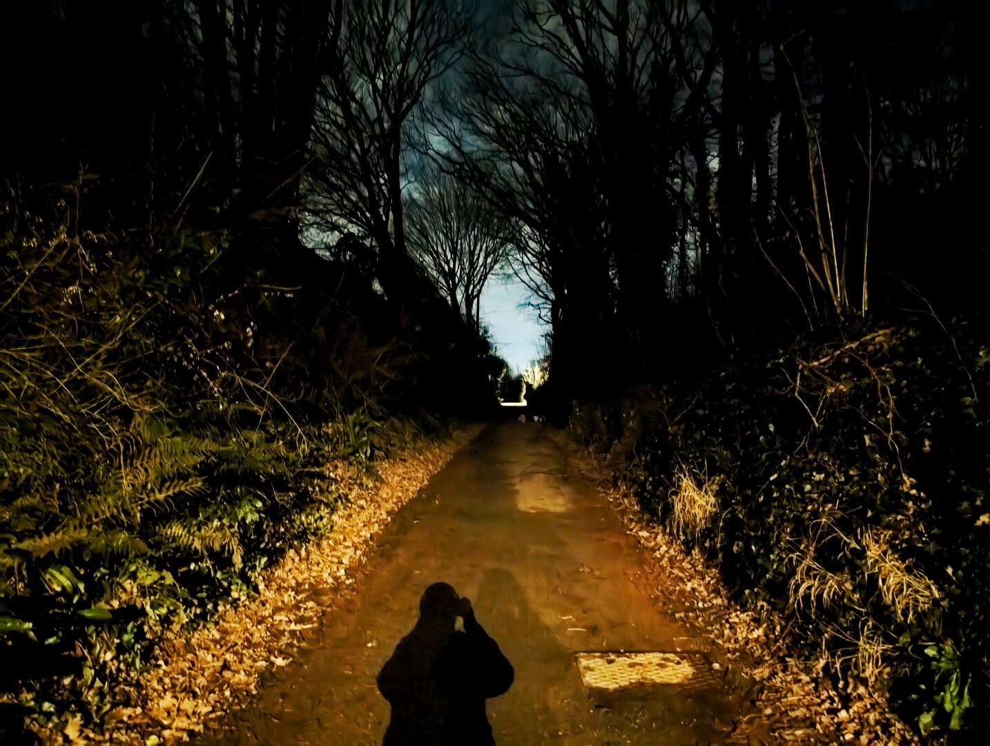 A dark path with trees on either side and bright light behind the photo taker. Shadow shape of photo taker on the ground at foreground of picture. Bright sky seen through trees in distance .