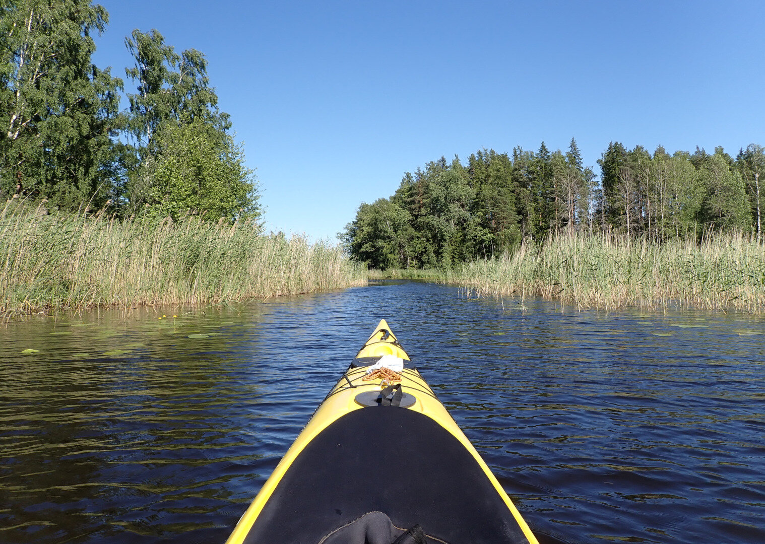 A view of a narrow strait on a lake, surrounded by grass, with forest on the shores. Shot from a yellow kayak, visible in the front. The sky is blue and clear.