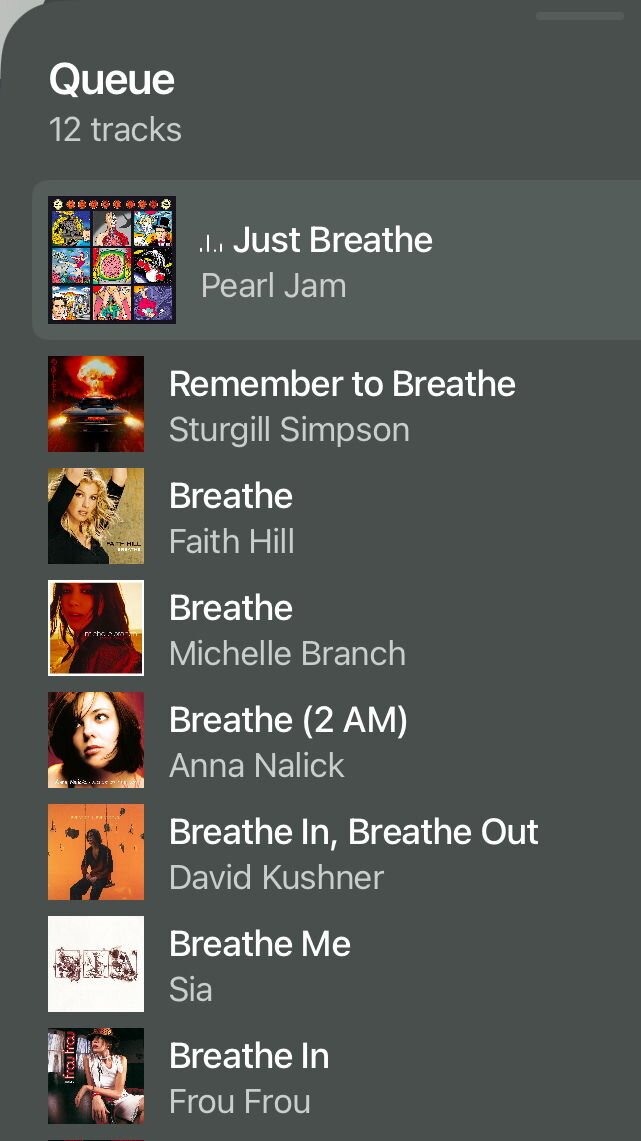 Just Breathe by Pearl Jam

Remember to Breathe by Sturgill Simpson

Breathe by Faith Hill

Breathe Michelle Branch

Breathe (2 AM) by Anna Nalick

Breathe In, Breathe Out by David Kushner

Breathe Me by Sia

Breathe In by Frou Frou
