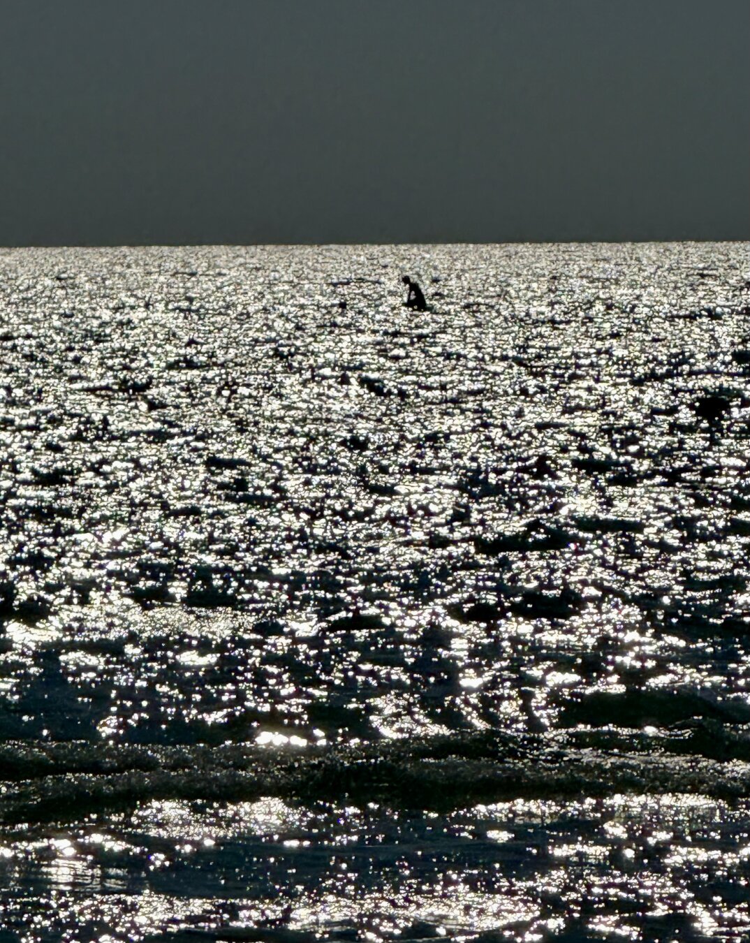 Sunlight glistening on wavelets; a solitary SUP paddler in the distance.