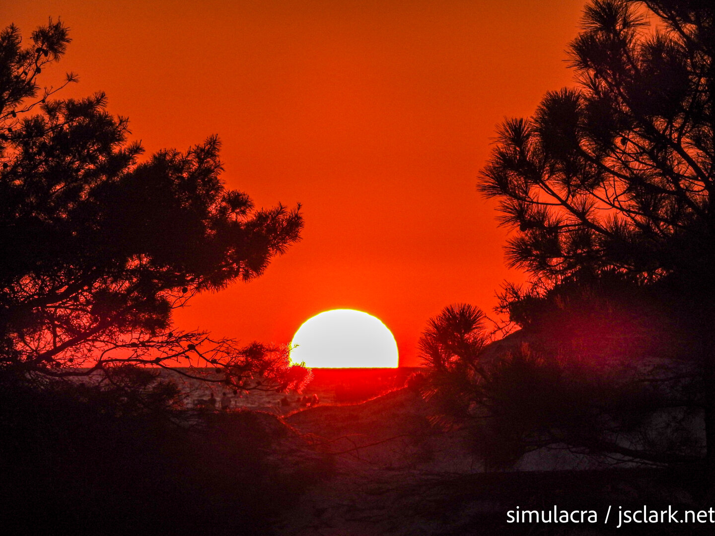 Orange sun sinks into the Gulf surrounded by pine silhouettes