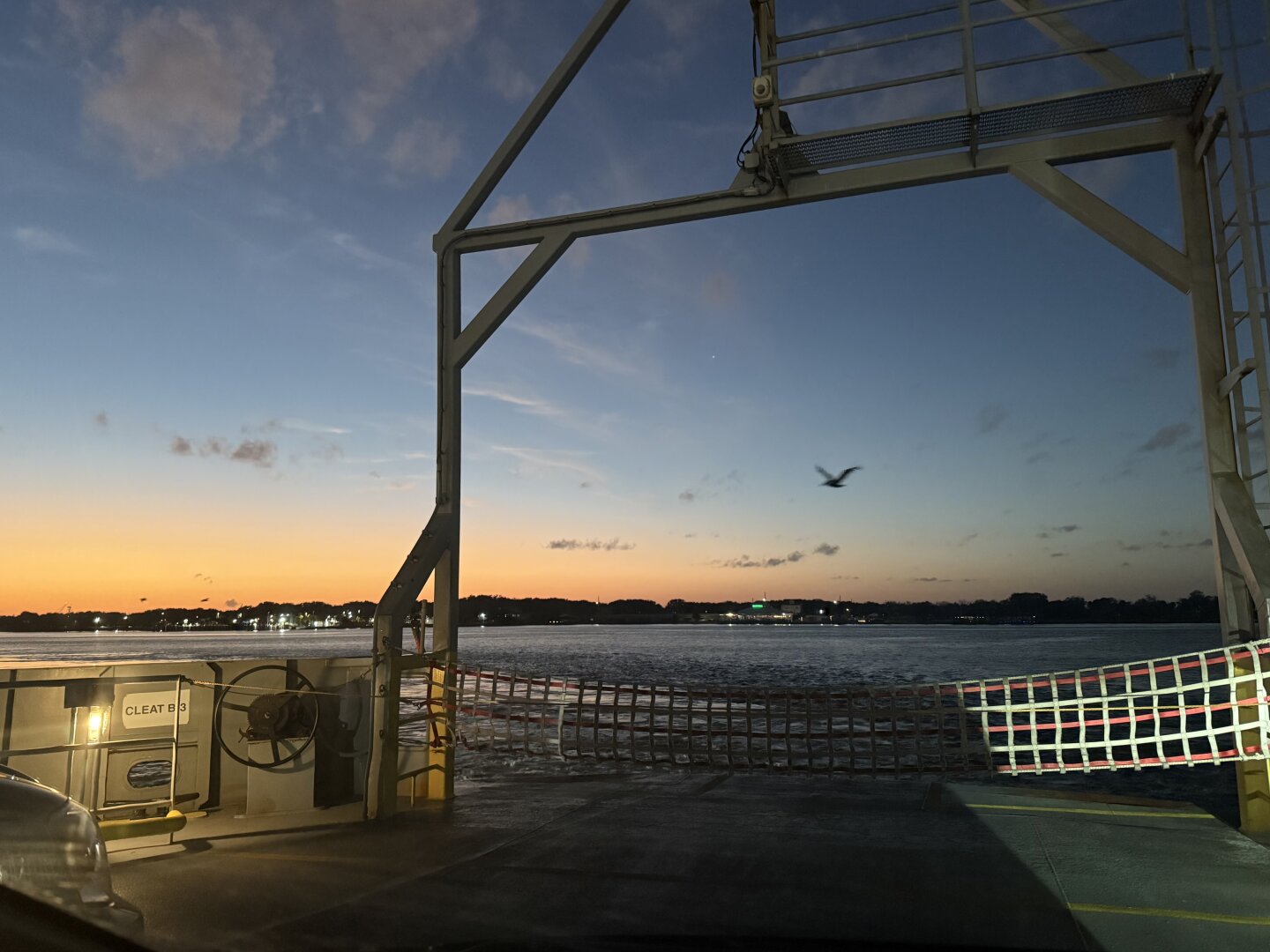 Deepening blue over sunset sky, pelican silhouette, river and bow structure of ferry.