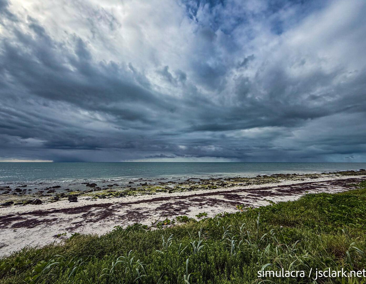 Rain clouds beyond a wrack-covered beach.