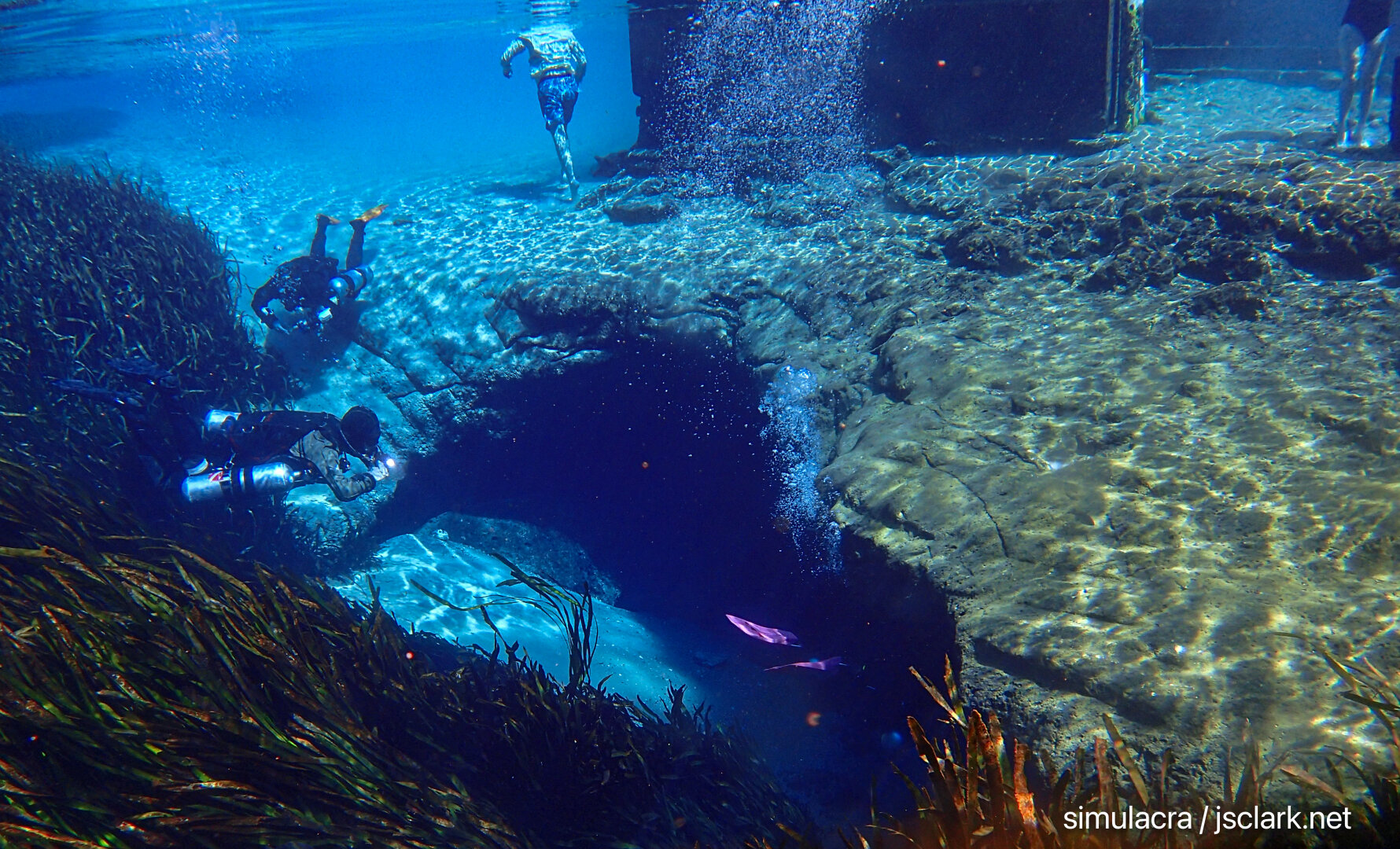 Cave divers enter Jackson Blue Spring mouth.