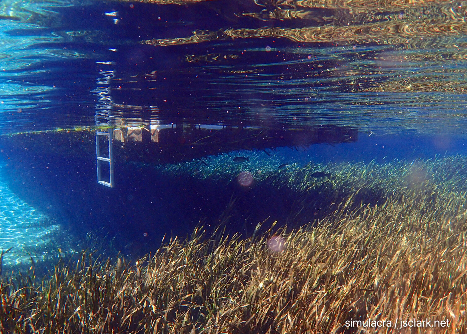FIsh congregate in the shadows below a floating dock.