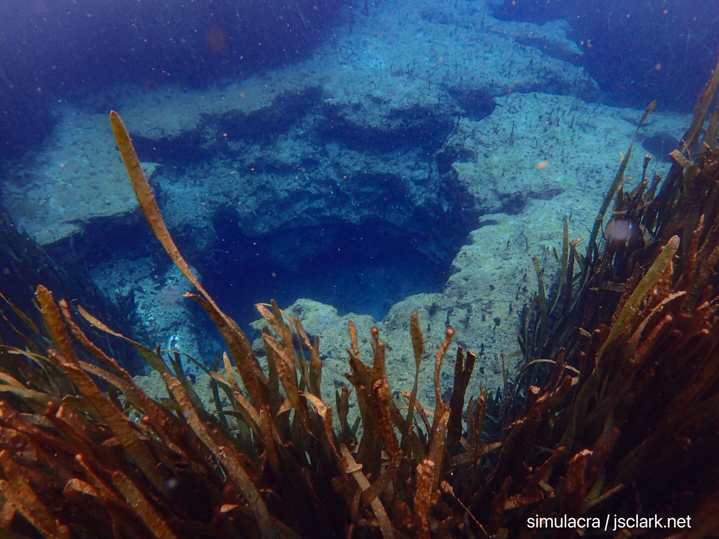 Another underwater view of Twin Caves Spring, with eelgrass waving in the foreground.