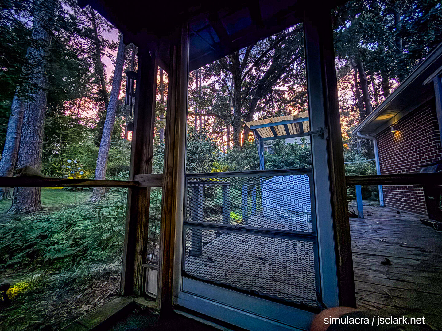 Sunset glow through the tree canopy outside a screened porch.