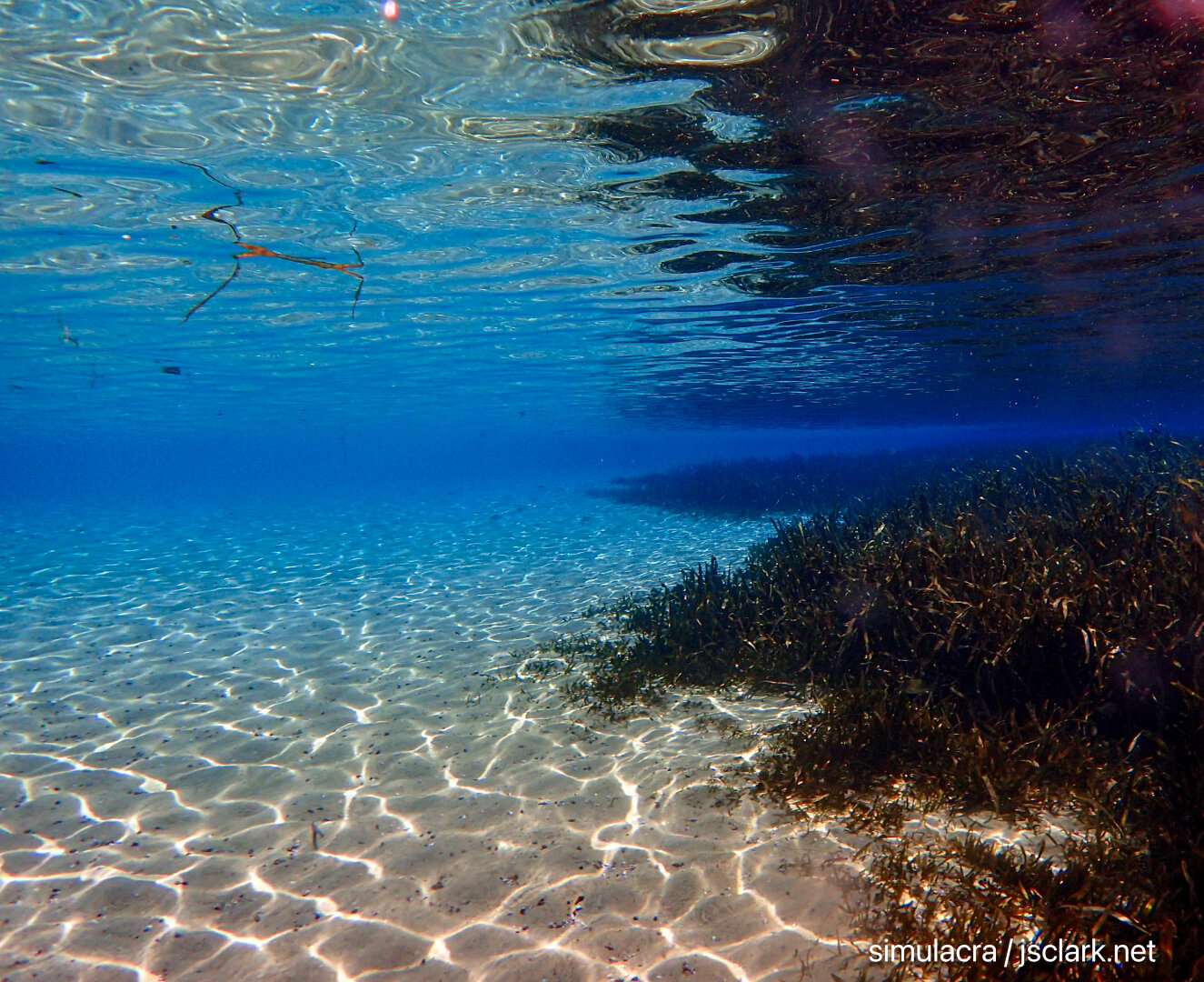 Sun-striated sandy bottom and eelgrass disappear into the blue distance.