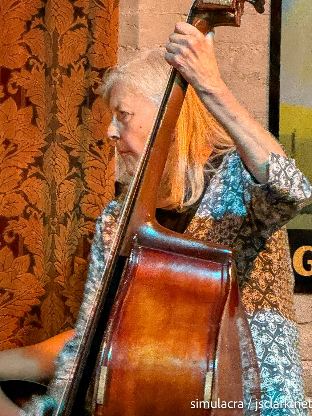 Musician at the Old Time Jam, Jack of the Woods Pub, Asheville NC.