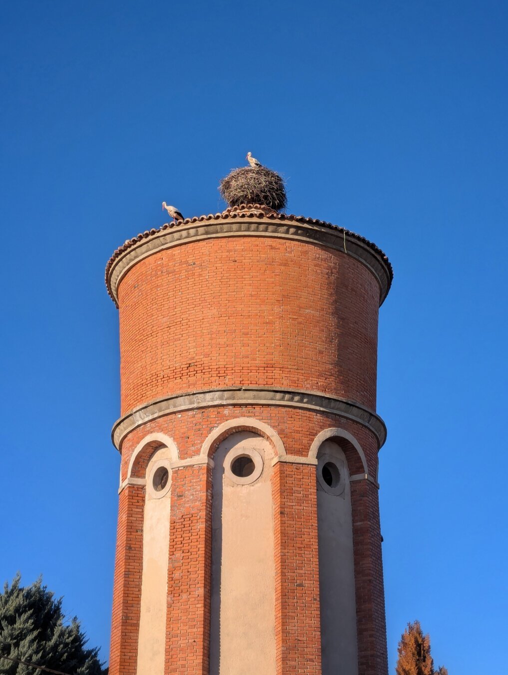 Depósito de agua antiguo, construido en ladrillo con arcos y agujeros de desagüe. Tiene forma de torre, de planta cilíndrica.

En su tejado, justo en el centro, está emplazado un nido de cigueña. Es grande, y hay una cigüeña posada sobre él. Otra está en el borde del tejado, de perfil, pareciera que asomada observando.

El cielo está muy despejado y azul, y contrasta con el ladrillo anaranjado.