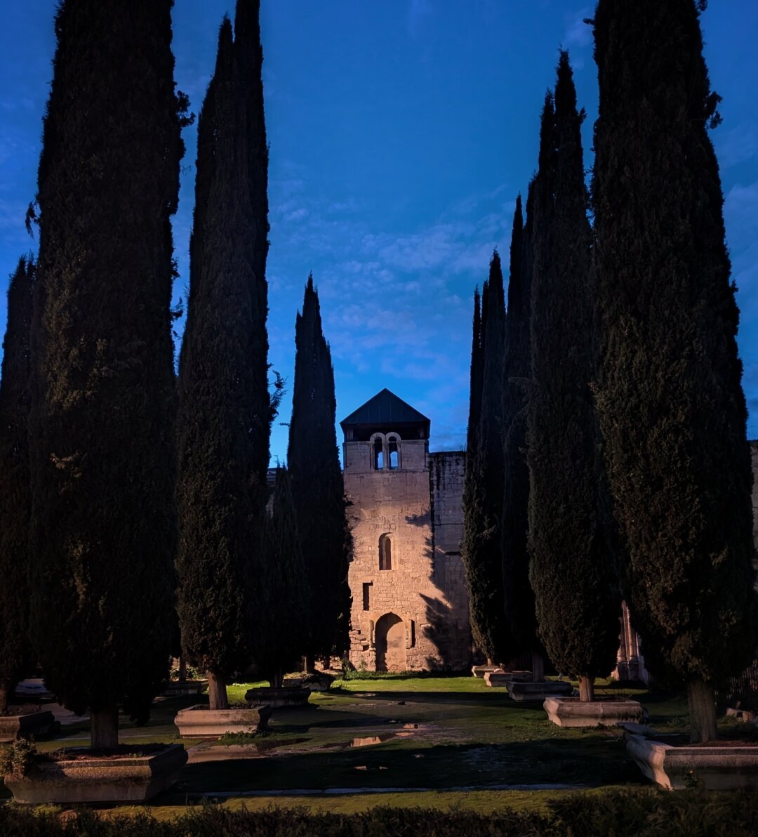 Jardín con dos hileras de cipreses paralelas, son árboles altos y alargados.

Flanquean un sendero en el jardín, que lleva hasta un edificio de piedra, iluminado levemente por luz cálida. El cielo es de un azul ya oscuro, en las primeras horas del anochecer.

La foto transmite un ambiente de misterio, tranquilidad y quietud.