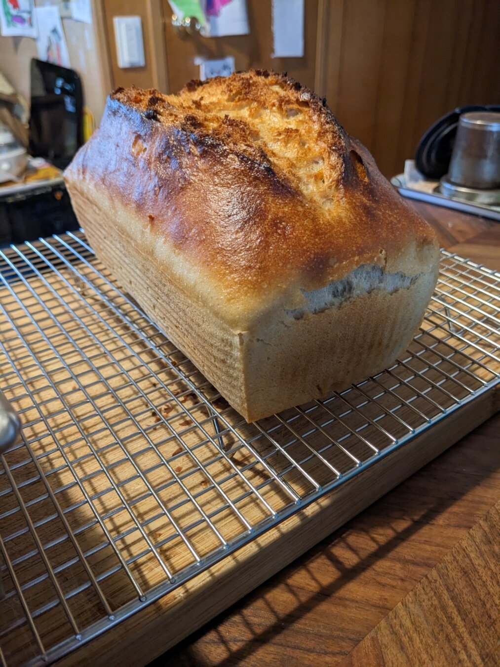 Freshly baked sourdough loaf, that was baked in a pan.