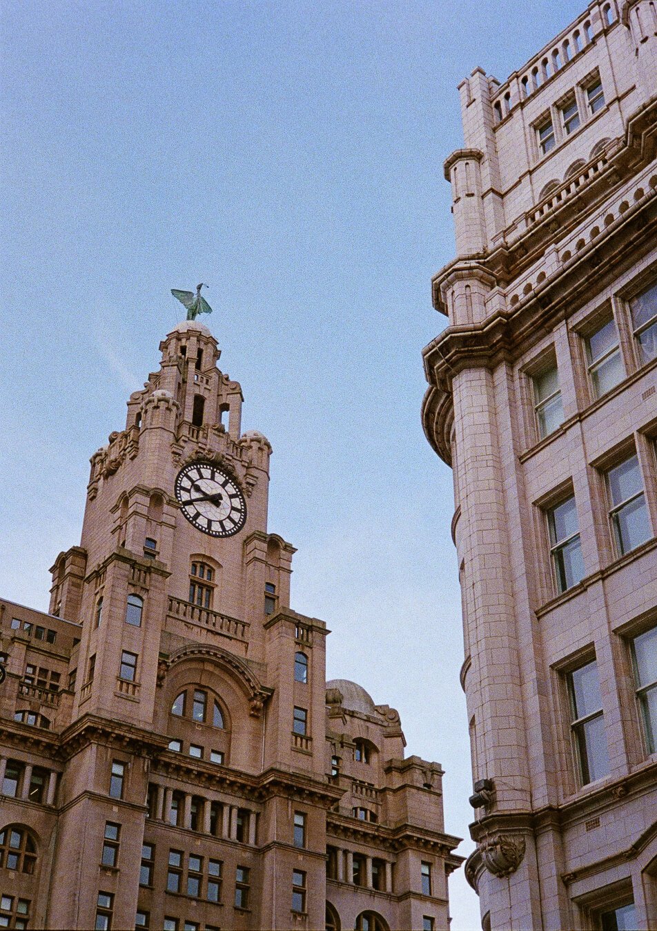 The top of the Royal Liver Building, a stone building topped with liver bird statues.
