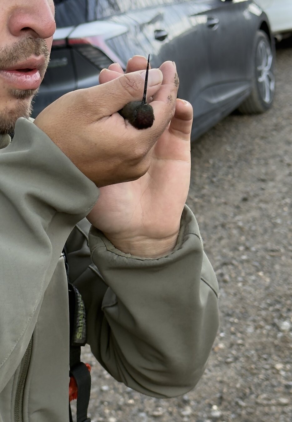 A picture of a person gently holding a tiny hummingbird whilst blowing on it. Parked cars in the background.