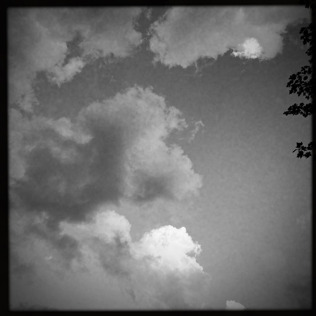 photo thumbnail