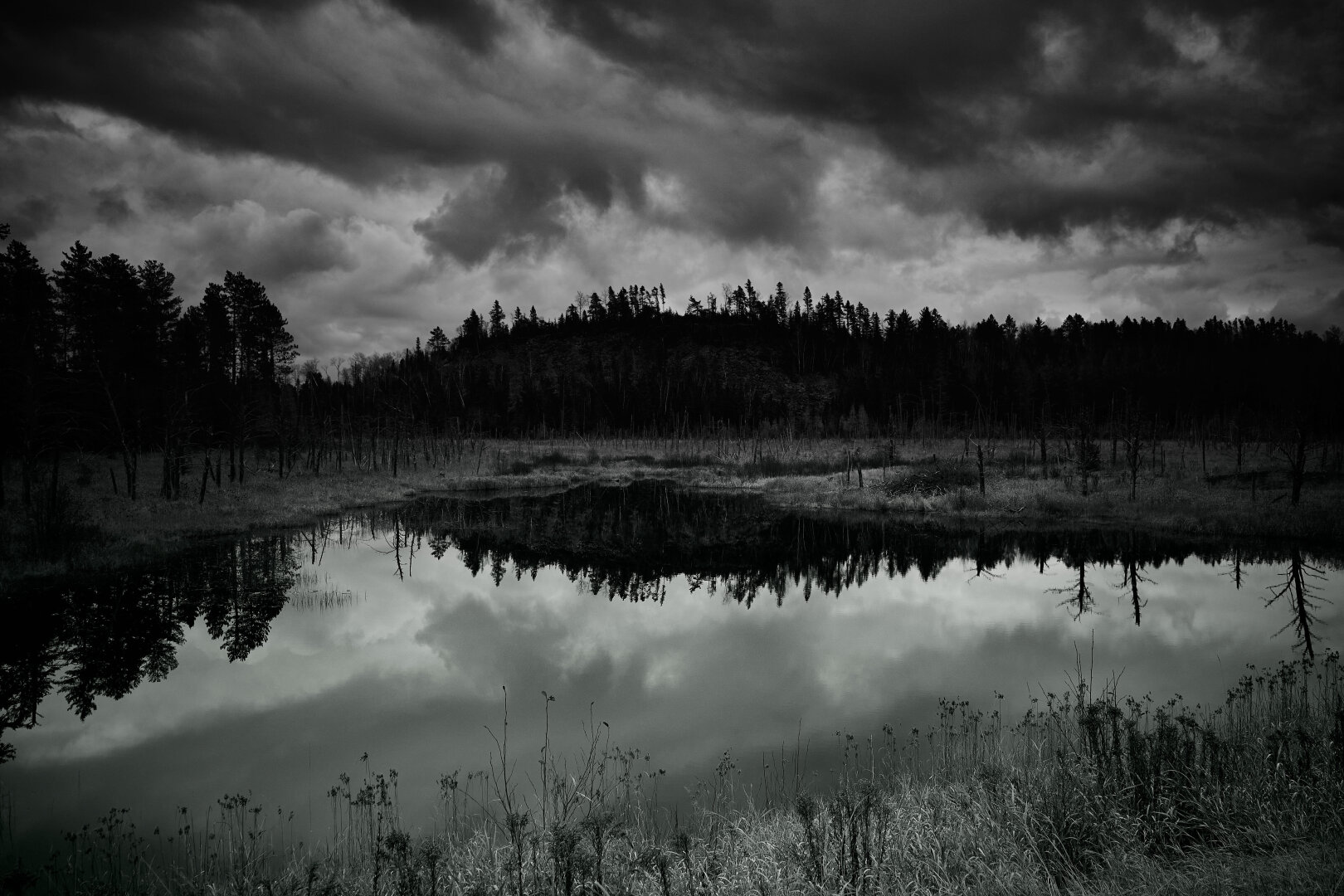 A still pond mirrors a dark hill lined with dense conifers. Bare trees rise from the wet ground, and heavy clouds press down from above. The scene is quiet, stark, and almost symmetrical, with the reflection forming a soft dividing line across the frame.