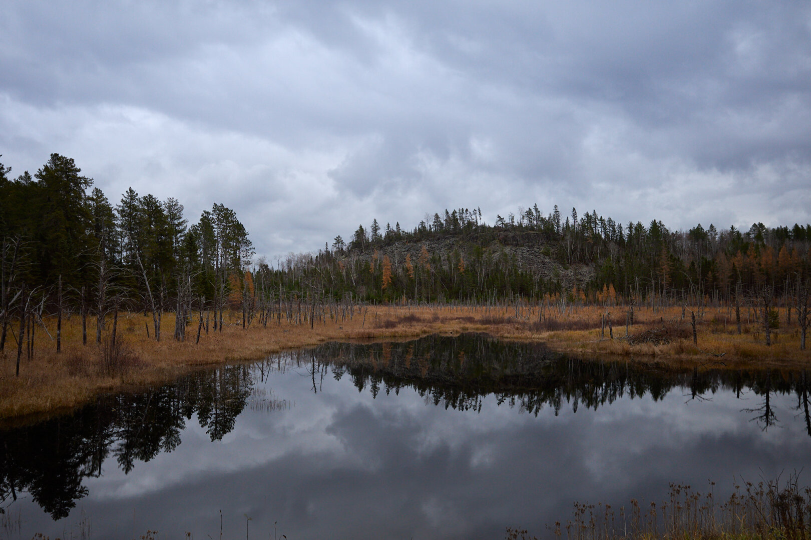 A landscape featuring a calm pond reflecting the cloudy sky and surrounding trees. The foreground consists of tall grasses and sparse, leafless trees. In the background, a rocky hill is visible, partially covered with coniferous trees, while the sky is overcast with gray clouds.
