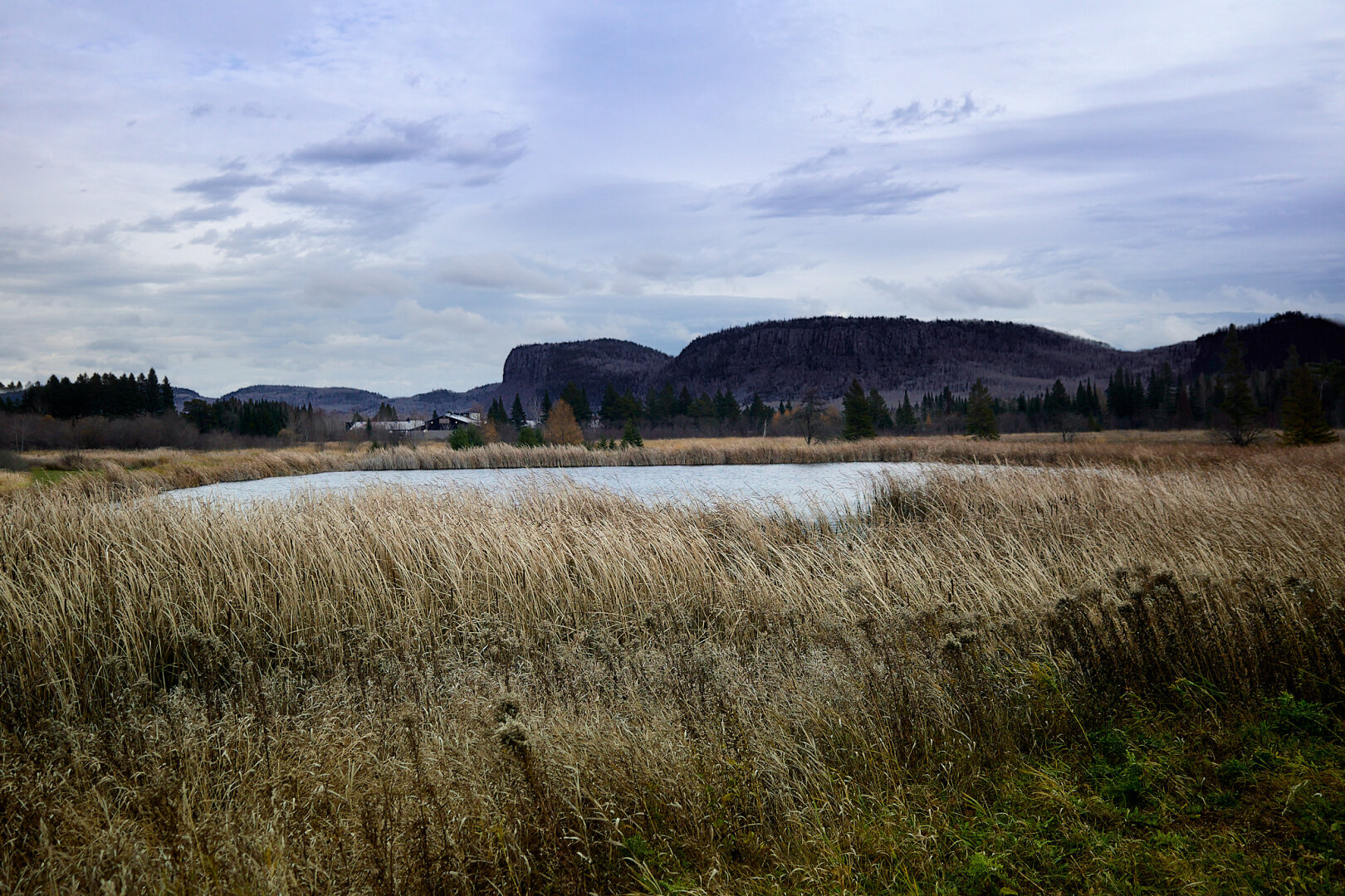 A view of the Nor'Wester Mountains in Thunder Bay, Ontario, seen from the rear of a building. In the foreground, tall grasses and reeds surround a small pond. The sky is overcast with clouds, and the mountains rise in the background, partially obscured by trees.