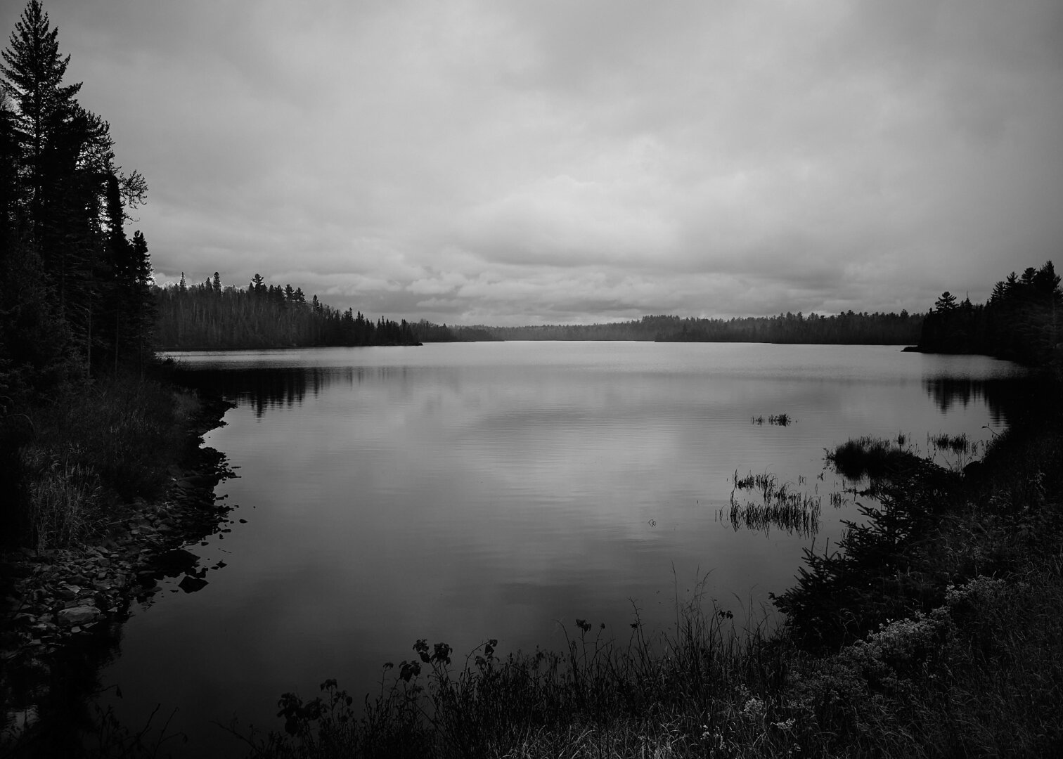 A black and white photograph of a lake at dusk, surrounded by trees. The water reflects the cloudy sky, creating a calm and serene atmosphere. In the foreground, there are patches of grass and rocks along the shoreline.